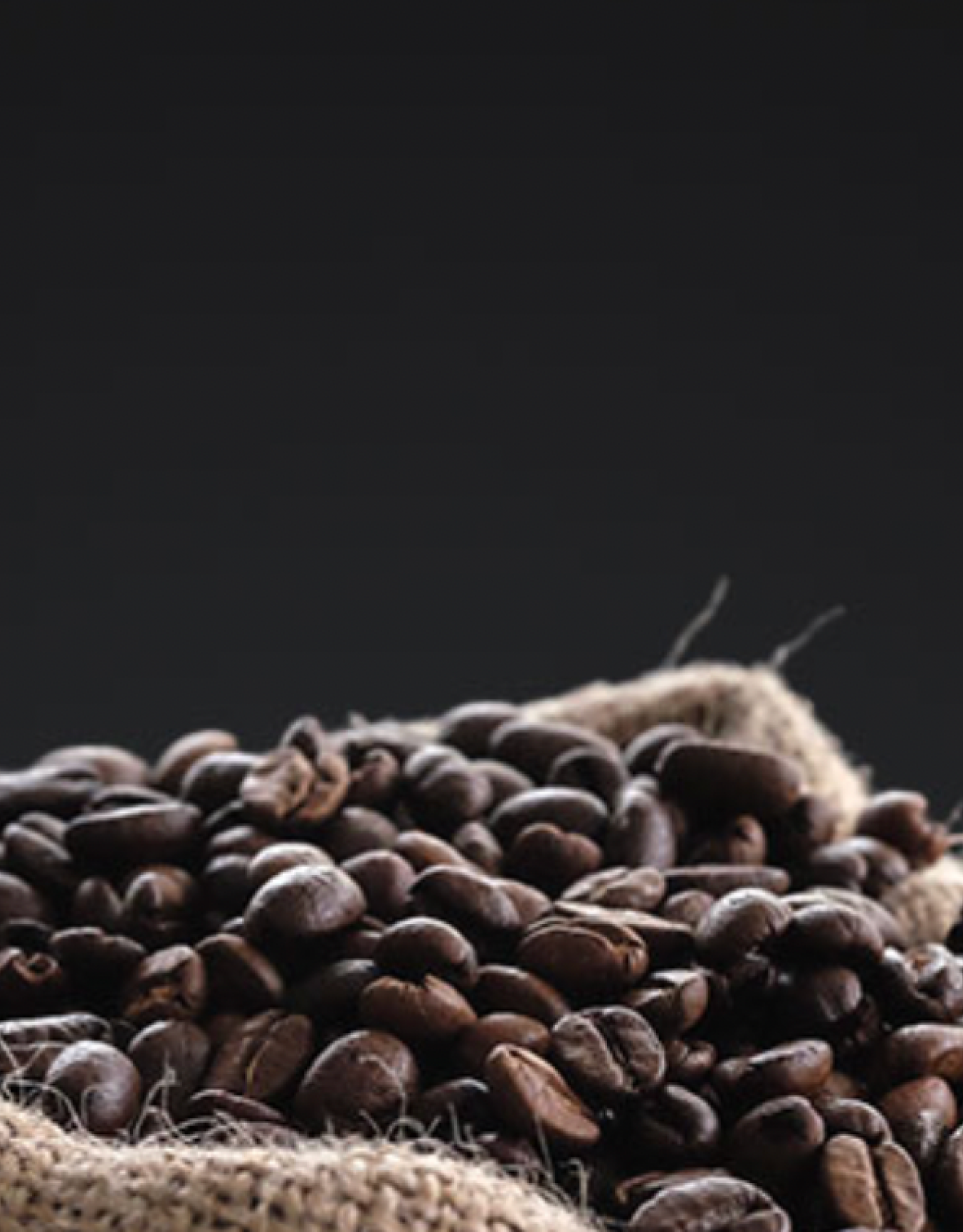 Monsooned Malabar Robusta Coffee